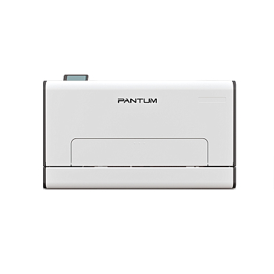 Принтер Pantum P2516