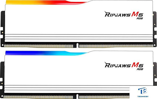 ОЗУ G.Skill F5-6000J3238G32GX2-RM5RW