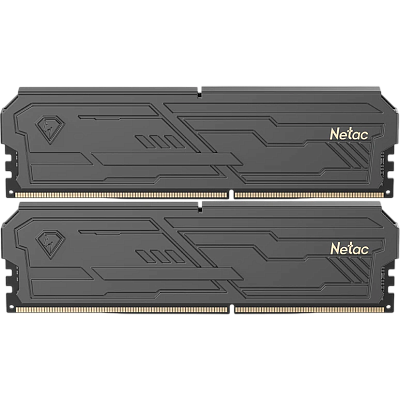 ОЗУ Netac NTSHD4P32DP-32K